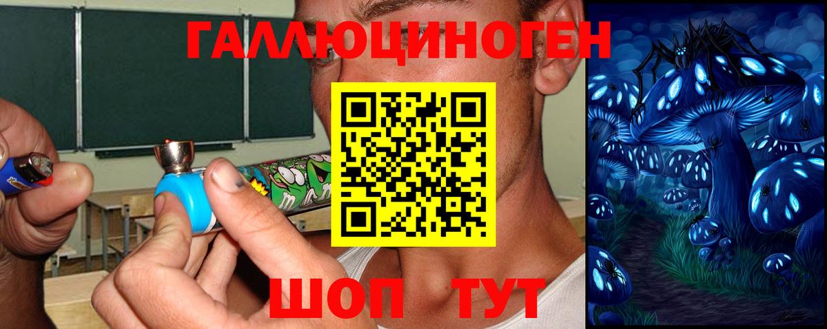 Нововоронеж  Псилоцибиновые грибы Cubensis  наркотики  Вход с VPN 